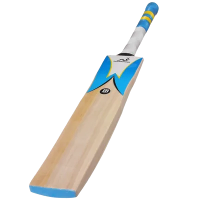 Cricket bat, English willow