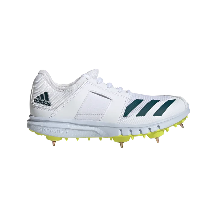Cricket spikes